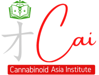 CAI Institute Logo